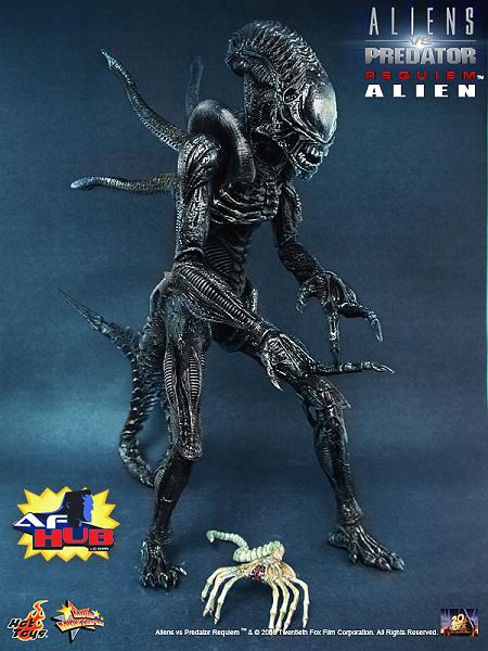 hot toys avp alien warrior