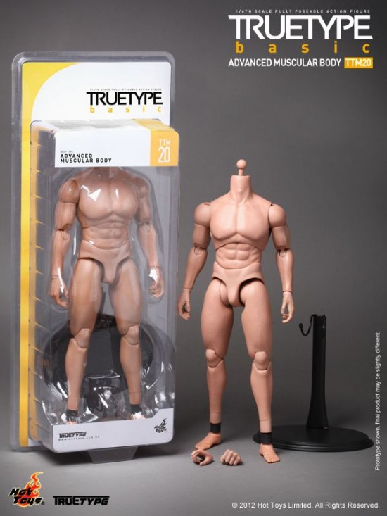 tt-muscular